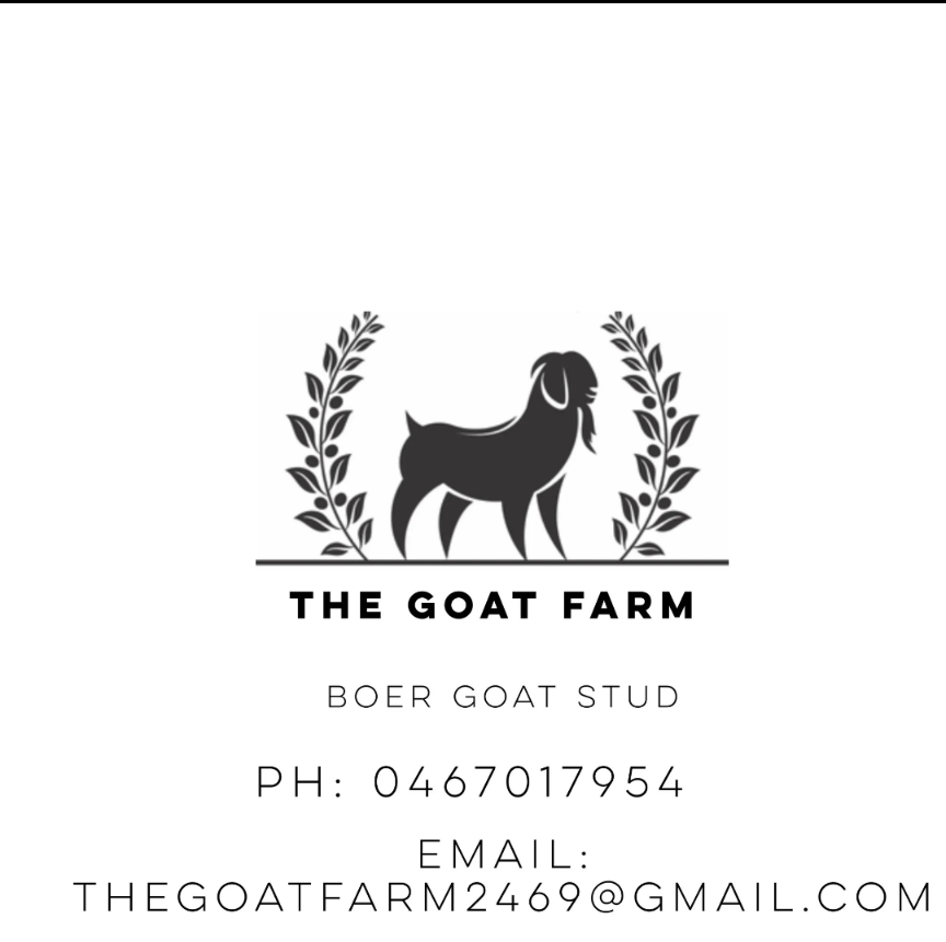 The Goat Farm | 6530 Summerland Way, Myrtle Creek NSW 2469, Australia | Phone: 0467 017 954