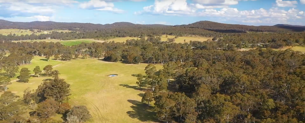 Buenpaso | 132 Perry La, Boxers Creek NSW 2580, Australia | Phone: 0405 470 808