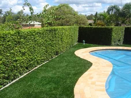 Enduroturf Synthetic Grass | store | 162 Grantham St, Floreat WA 6014, Australia | 0431985126 OR +61 431 985 126