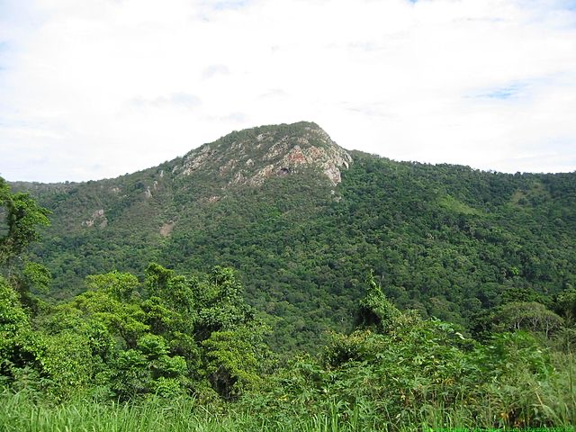 Barron River Tinaroo, Danbulla National Park and State Forest |  | Jase Track, Tinaroo QLD 4882, Australia | 137468 OR +61 137468