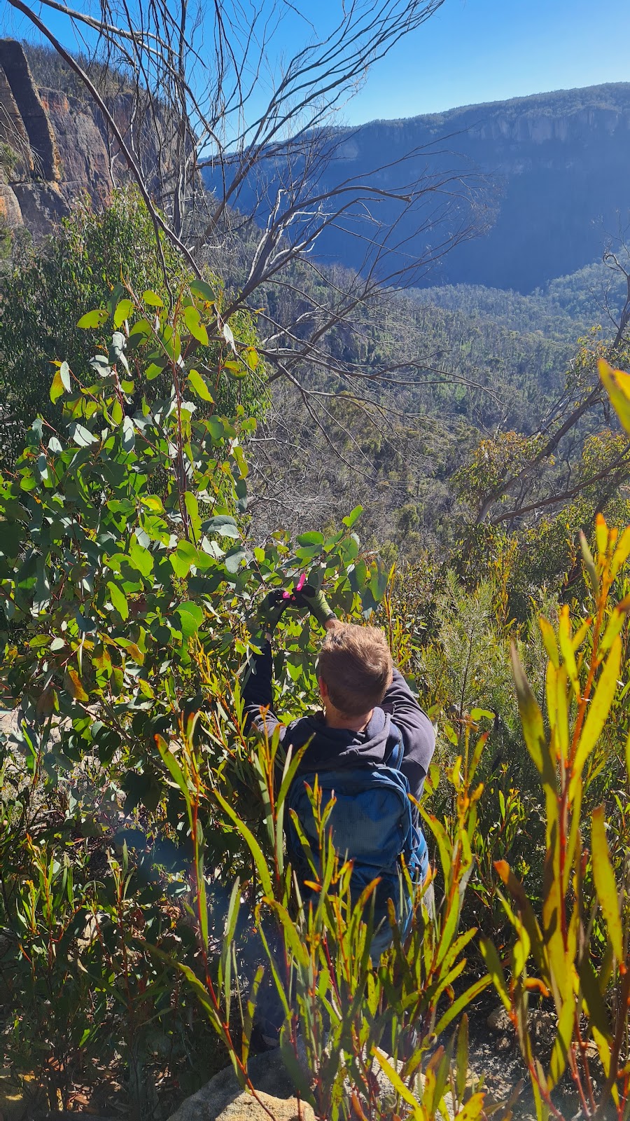 Advanced Trail Design | 277 Lookout Rd, Ophir NSW 2800, Australia | Phone: 0407 249 971