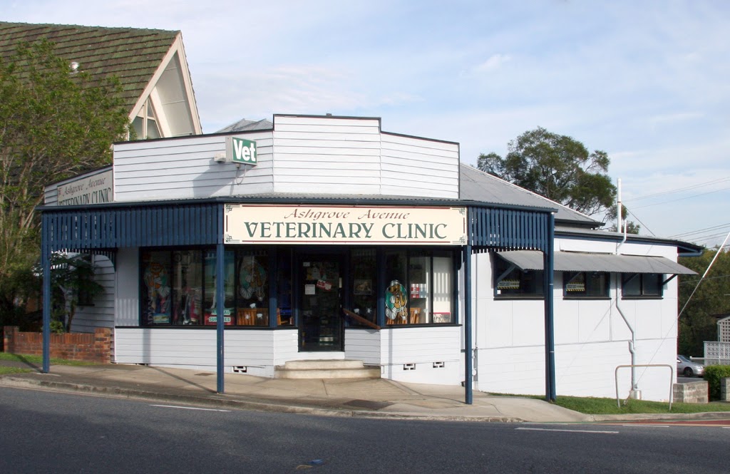 Ashgrove Avenue Veterinary Clinic | veterinary care | 32 Ashgrove Ave, Ashgrove QLD 4060, Australia | 0733666666 OR +61 7 3366 6666