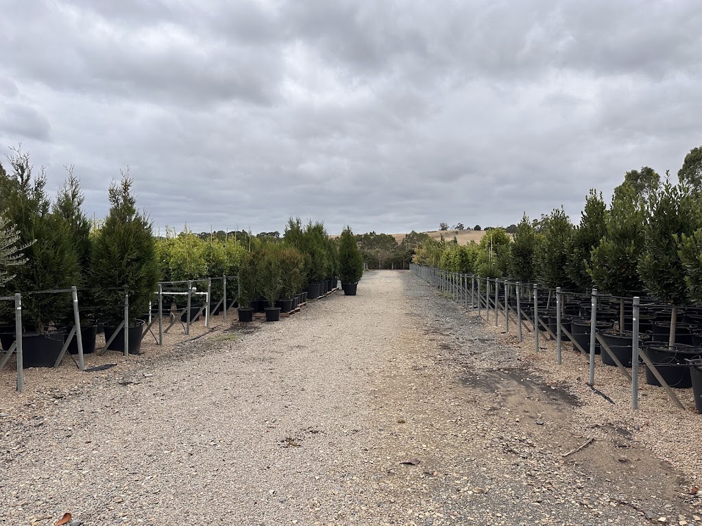 Botanic Nursery | 5 Lower Homestead Rd, Wonga Park VIC 3115, Australia | Phone: 0439 445 028