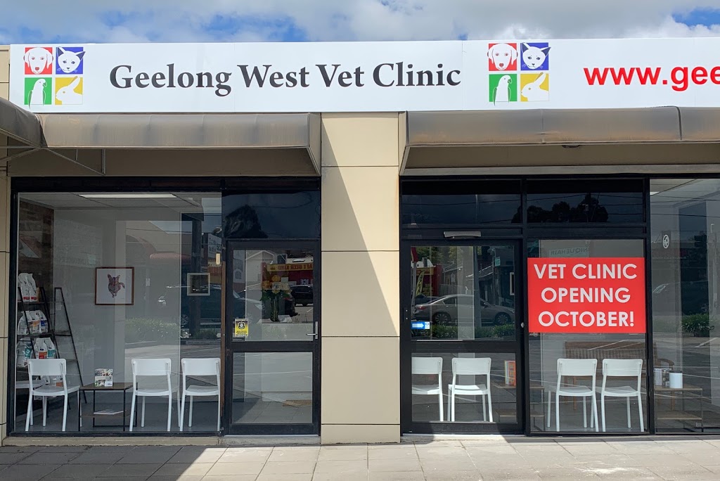 Geelong West Vet Clinic | veterinary care | 2/130 Shannon Ave, Geelong West VIC 3218, Australia | 0352808440 OR +61 3 5280 8440