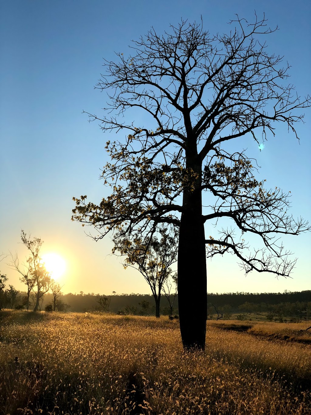 Humboldt National Park | Humboldt QLD 4702, Australia