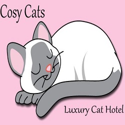 Cosy Cats- Cat Hotel, Pet Sitting, Animal Care, Hobart Cat Board | veterinary care | 38 Merediths Rd, Margate TAS 7054, Australia | 0362671140 OR +61 3 6267 1140