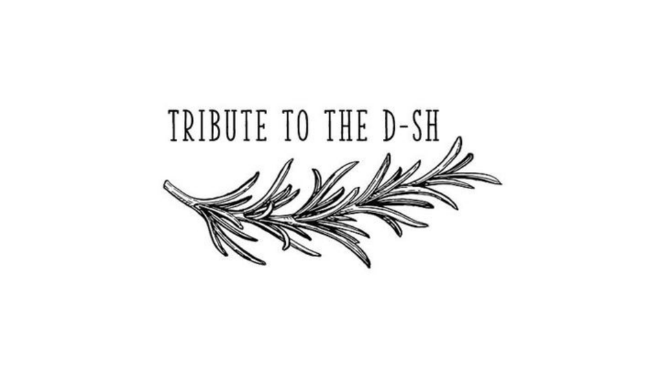 Tribute to the Dash | 3207 Dukes Hwy, Coomandook SA 5261, Australia | Phone: 0458 538 953