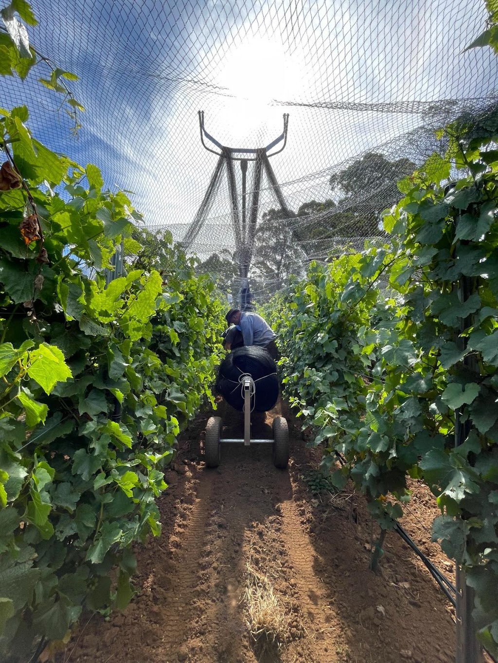 Clarries Track | 20 Donald Lane, Newbury VIC 3458, Australia | Phone: 0419 682 391