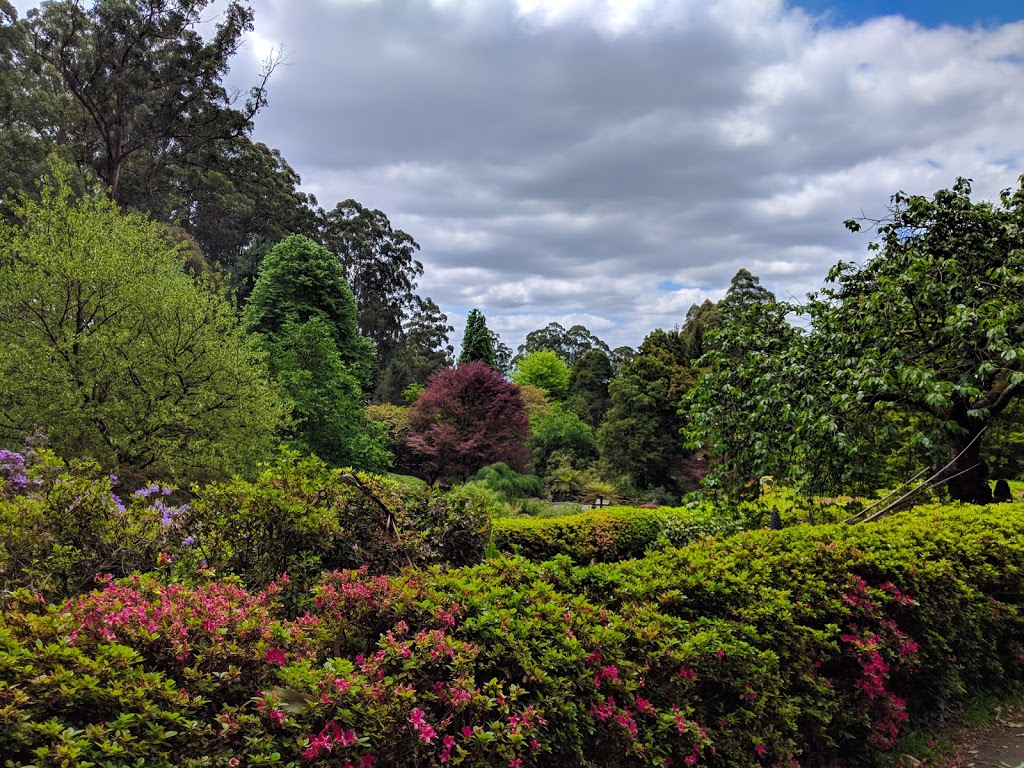 Dandenong Ranges Botanic Garden | park | The Georgian Rd, Olinda VIC 3788, Australia | 131963 OR +61 131963