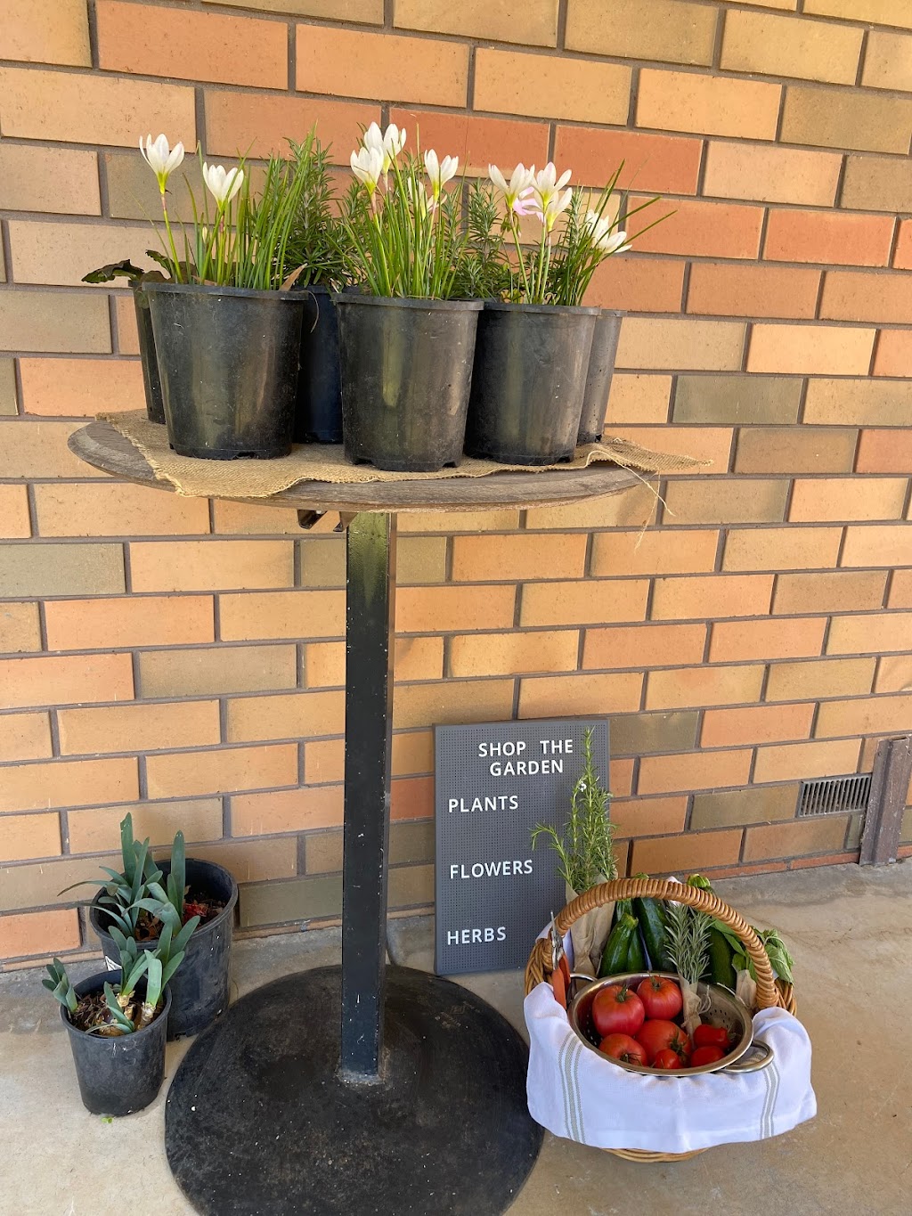 Walsh Block - Coghills Creek Road | 1037 Coghills Creek Rd, Coghills Creek VIC 3364, Australia | Phone: 0490 831 938