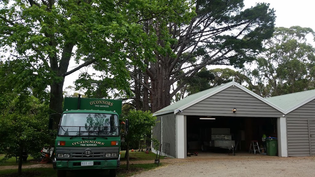 OConnors Tree Services | 66 Anthony St, Langwarrin VIC 3910, Australia | Phone: 0408 759 045