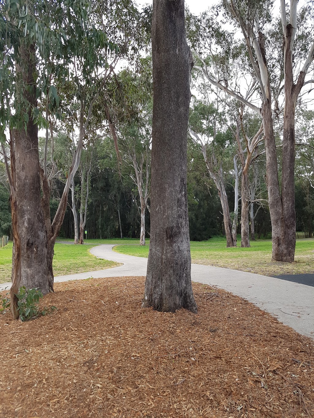 Allambie Road Reserve | park | Bossley Park NSW 2176, Australia