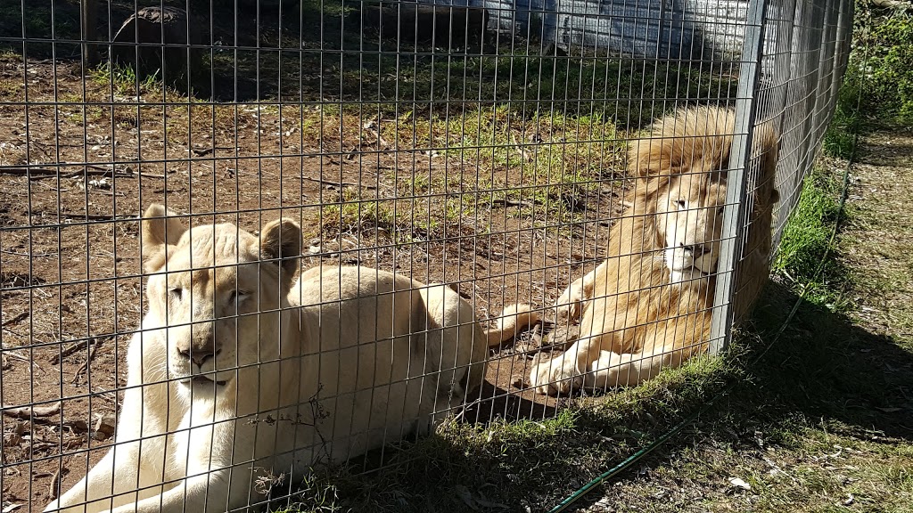 Darling Downs Zoo | 21 Baines Rd, Pilton QLD 4361, Australia | Phone: (07) 4696 4107