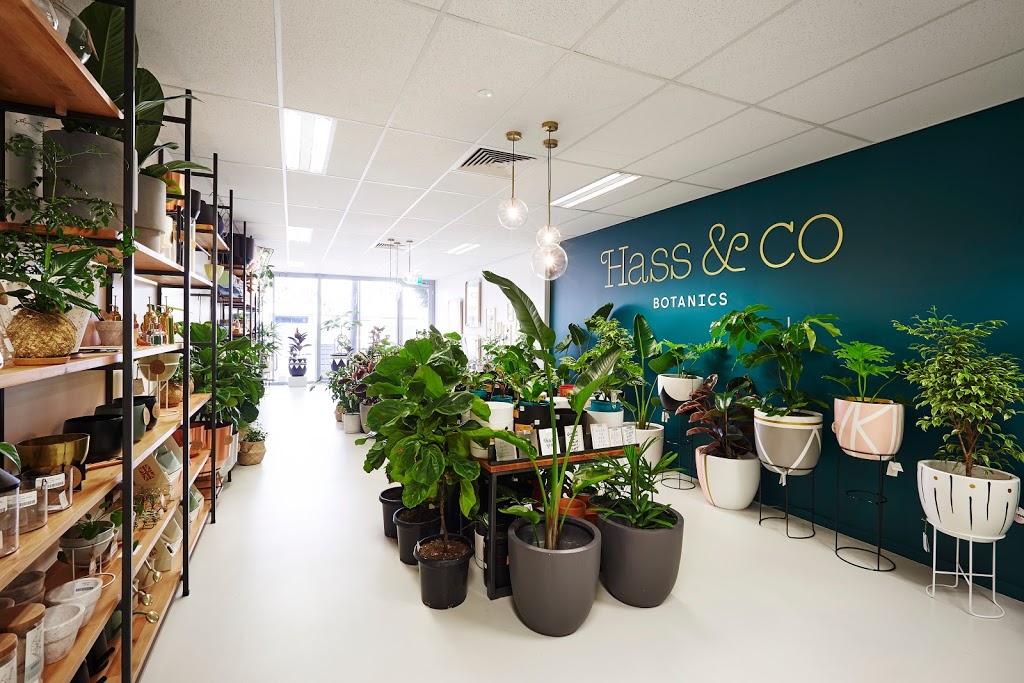 Hass & Co Botanics | home goods store | 250 Oxford St, Leederville WA 6007, Australia | 0414001017 OR +61 414 001 017