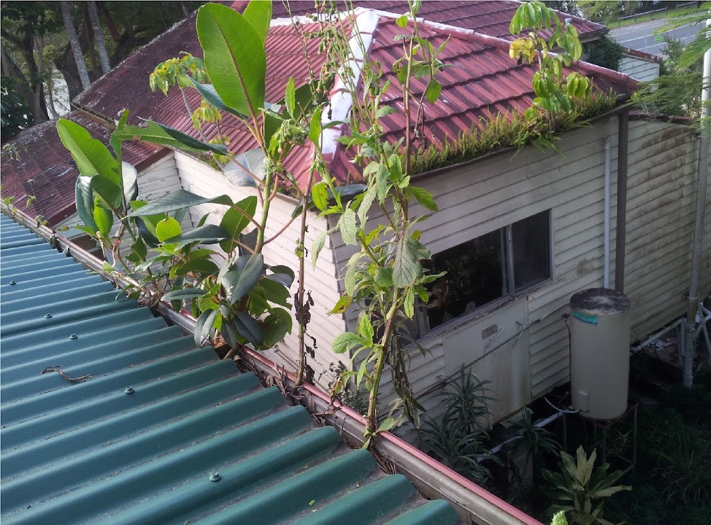 Seasonal Gutter Cleaning |  | 73 Harrier Dr, Burleigh Waters QLD 4220, Australia | 0411409740 OR +61 411 409 740