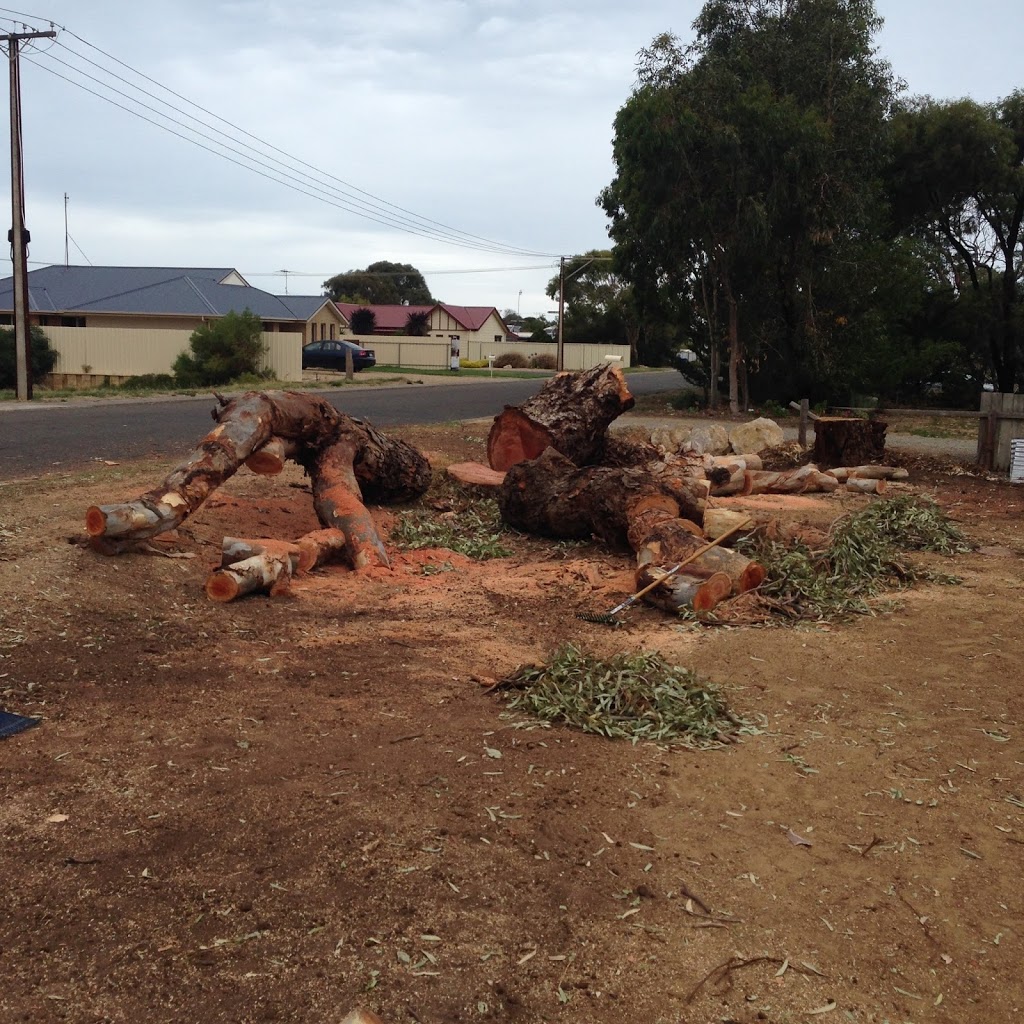 Goolwa Tree Lopping And Removal | 2 Holme Cl, Goolwa Beach SA 5214, Australia | Phone: 0401 942 290