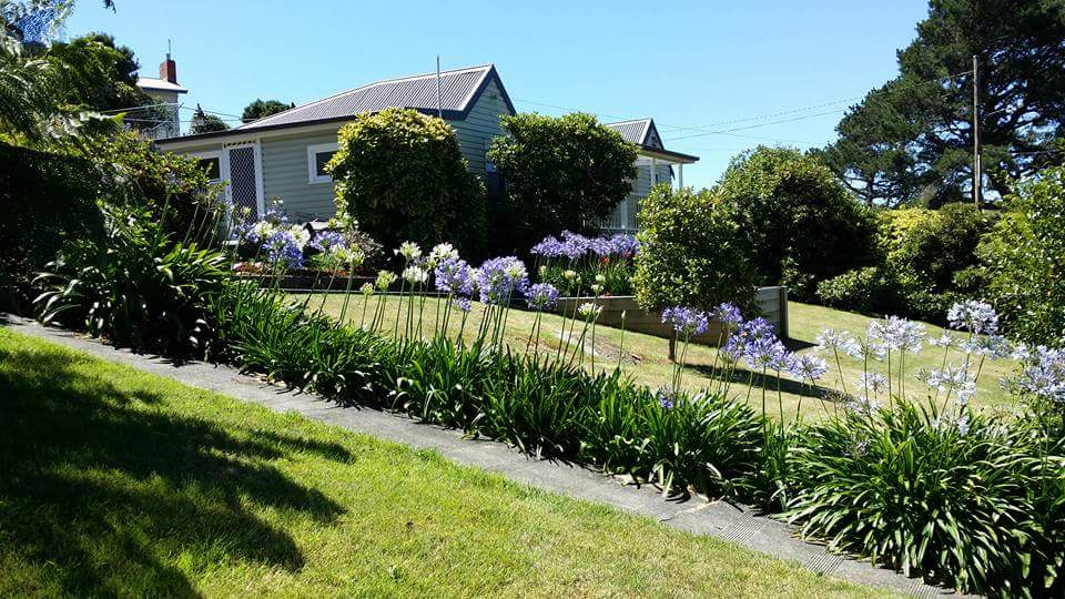 Cascade Cottage (Virginia and Gary) | lodging | 6 Cascade Dam Rd, Derby TAS 7264, Australia | 0429976885 OR +61 429 976 885