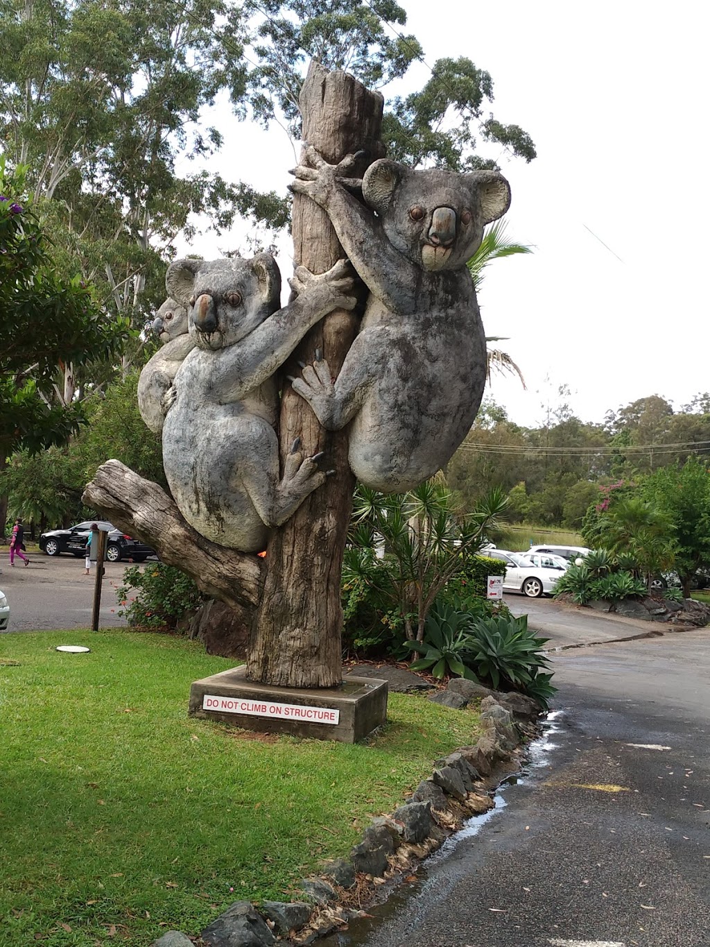 Billabong Zoo: Koala & Wildlife Park | zoo | 61 Billabong Dr, Port Macquarie NSW 2444, Australia | 0265851060 OR +61 2 6585 1060