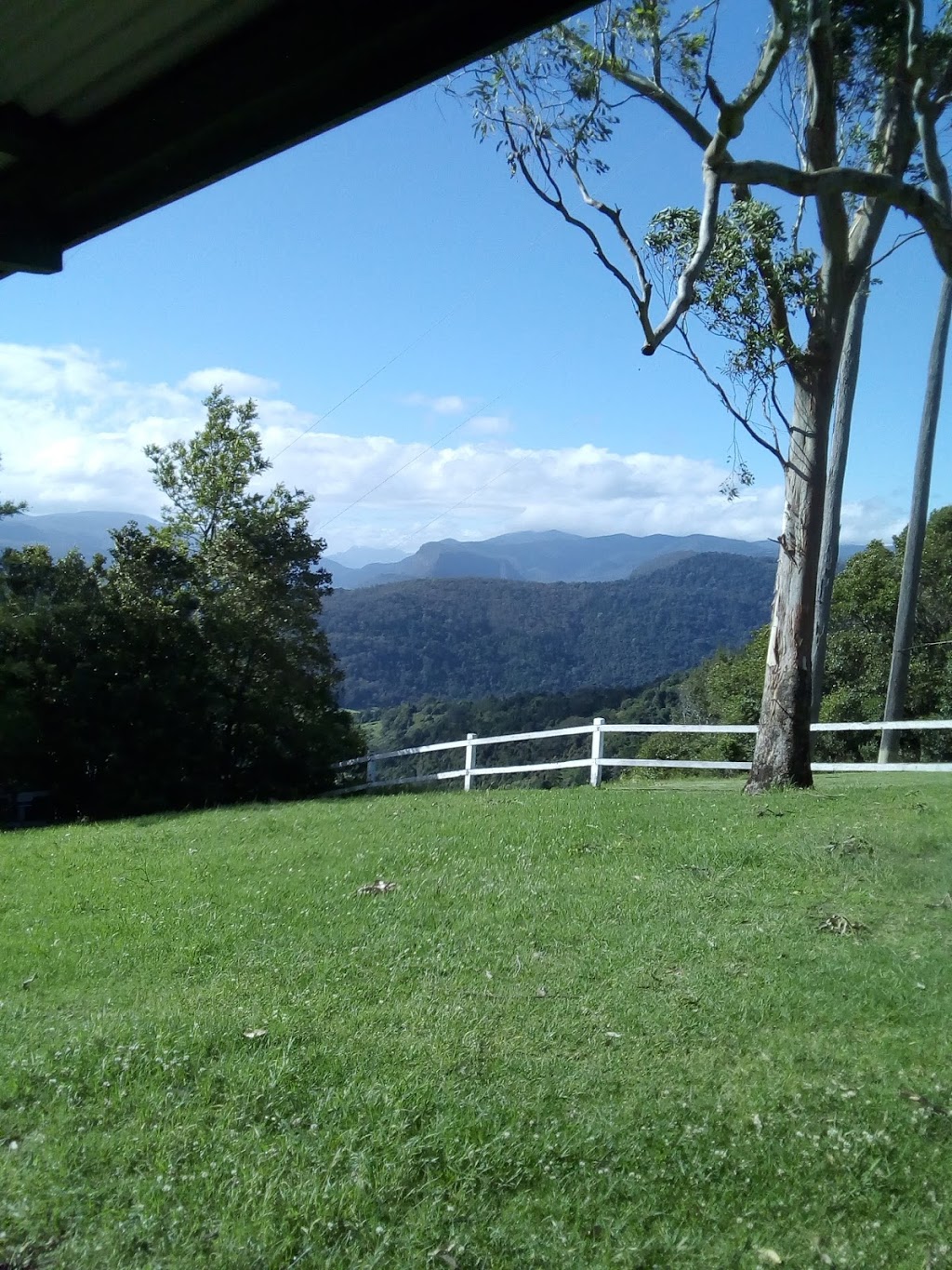 Rosins Lookout Conservation Park | park | Beechmont QLD 4211, Australia