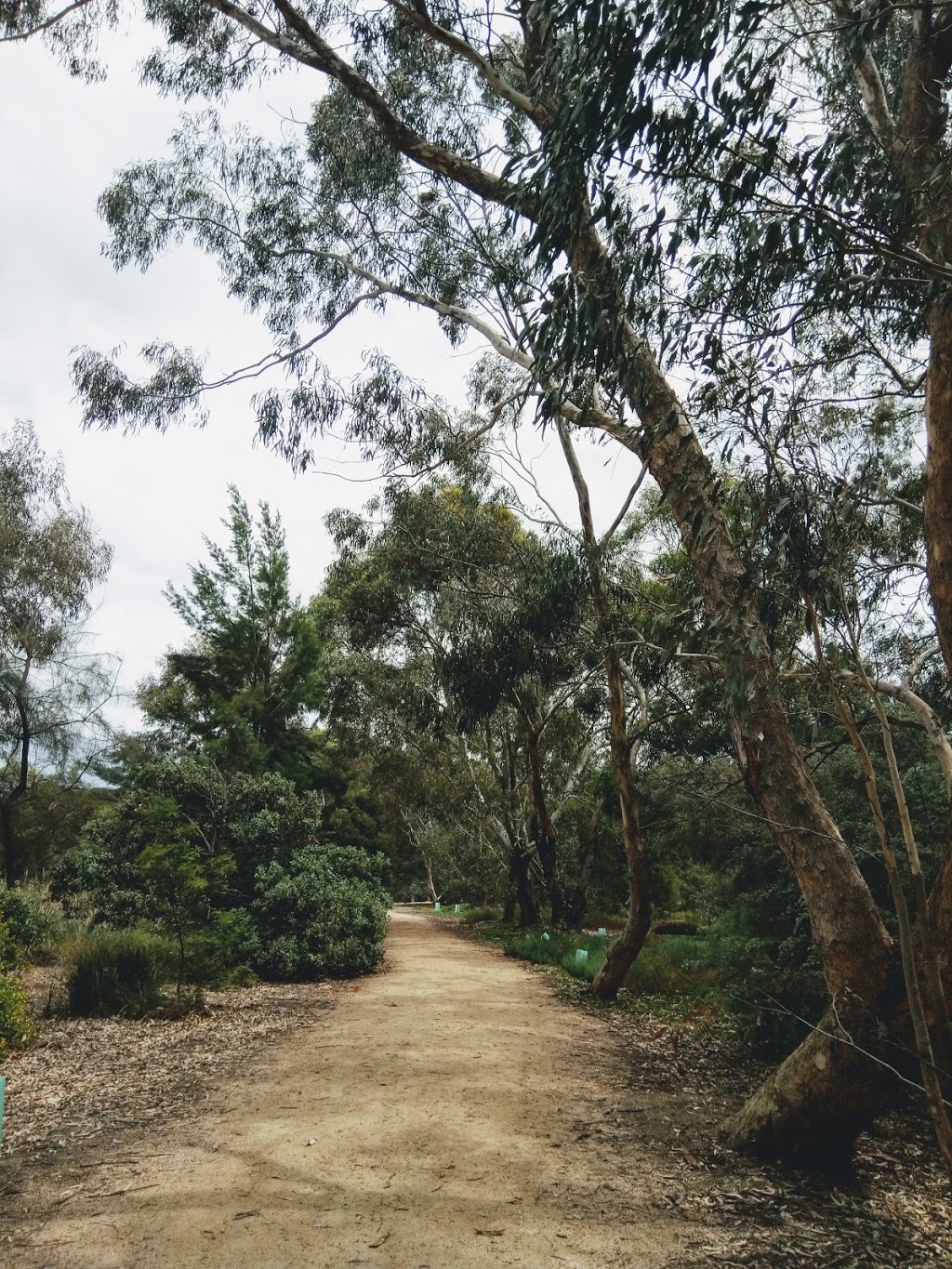 Newells Paddock Wetlands Reserve | Footscray VIC 3011, Australia