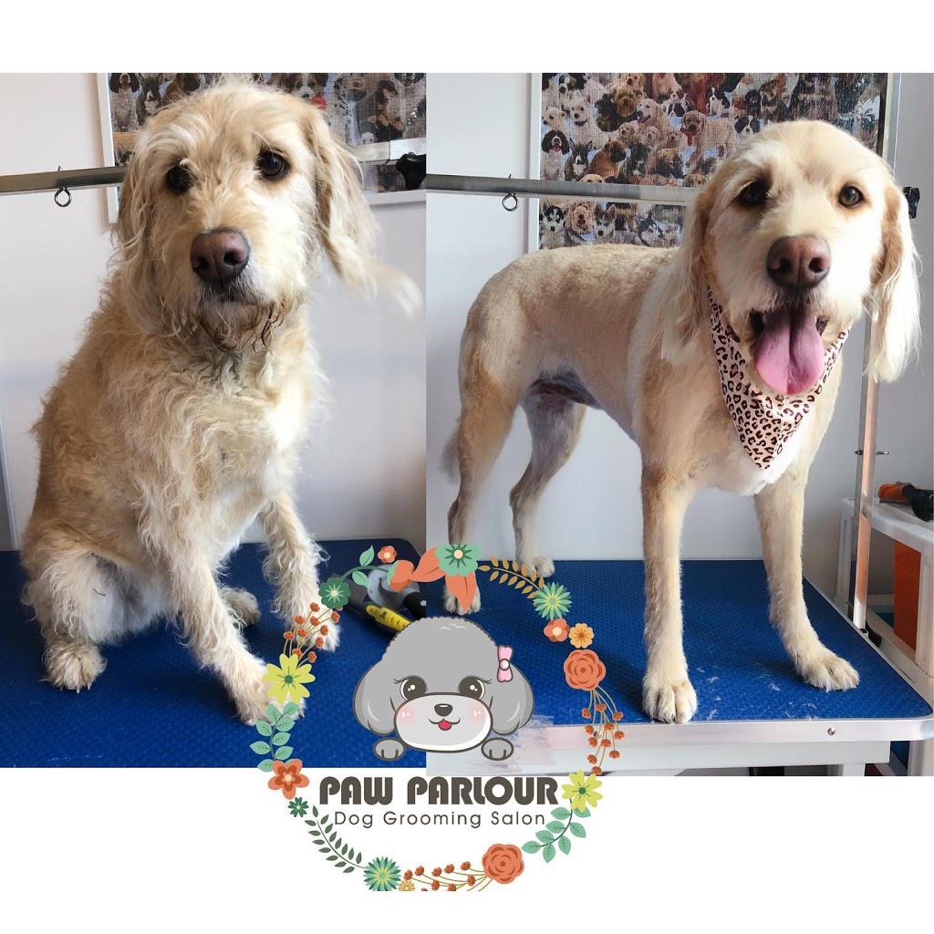 Paw Parlour Dog Grooming Salon | 107 Ayr St, Doncaster VIC 3108, Australia | Phone: 0432 118 960