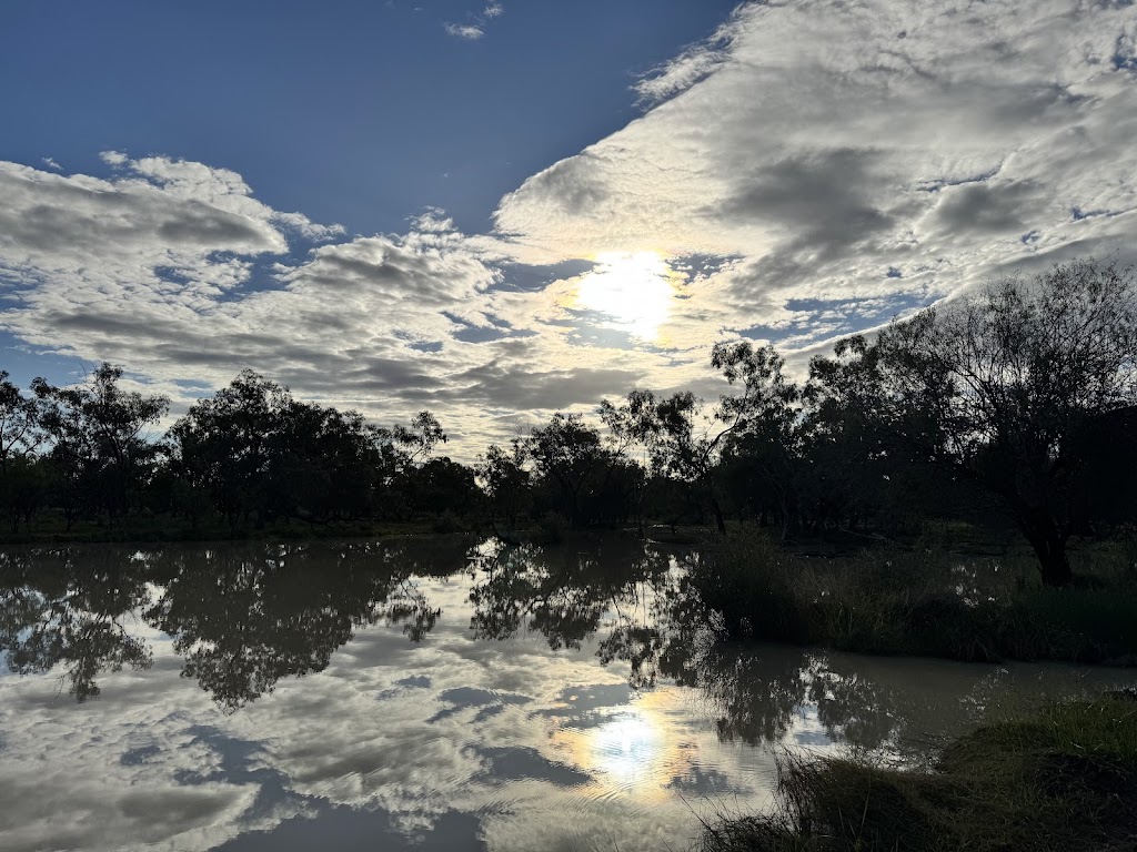 Franc Villers Station | Francvillers Station, Cunnamulla QLD 4490, Australia | Phone: 0409 897 172