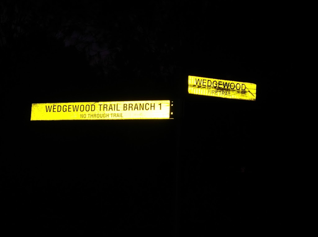 Wedgewood Branch 1 FireTrail | 1247 Pacific Hwy, Cowan NSW 2081, Australia