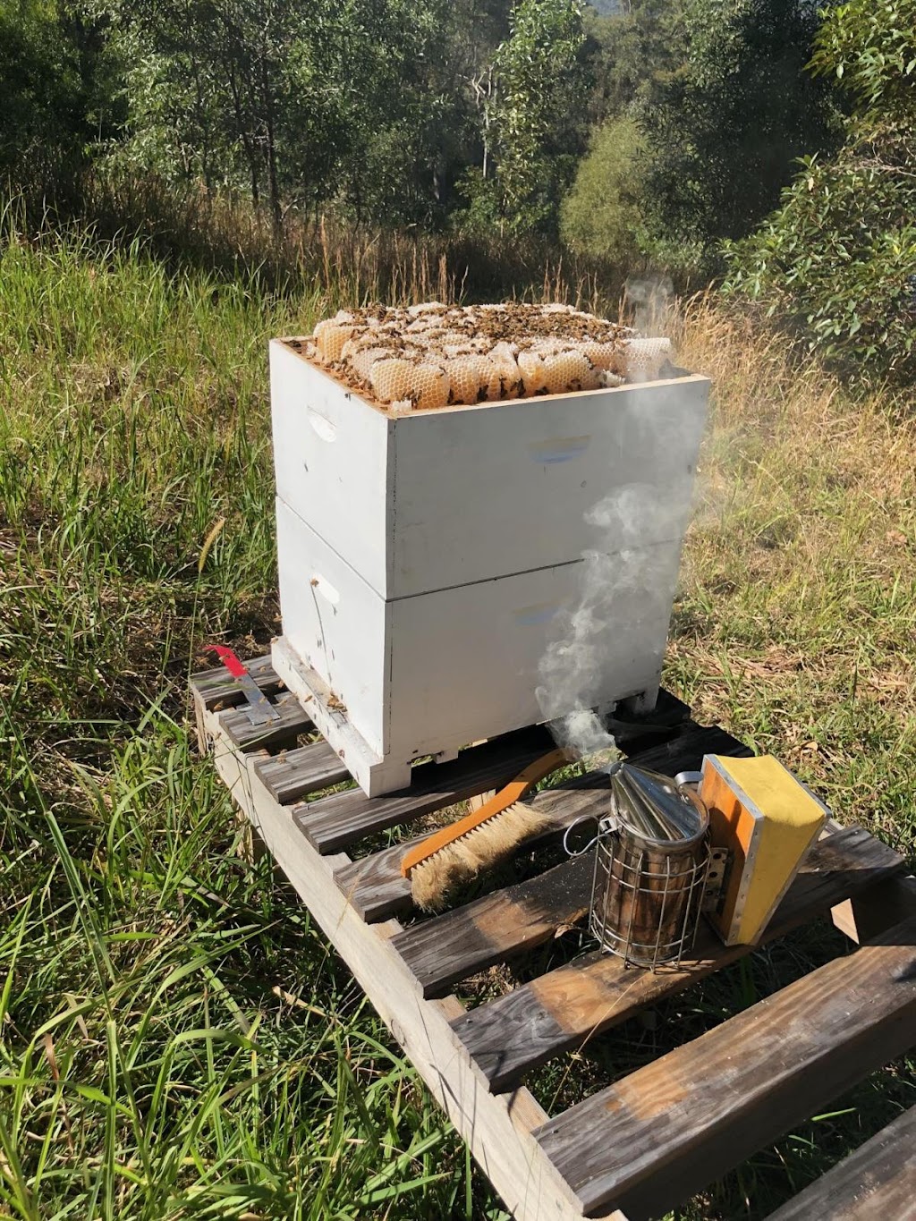 Beekeeping Equipment | 90 Cobai Dr, Mudgeeraba QLD 4213, Australia | Phone: 0410 629 964