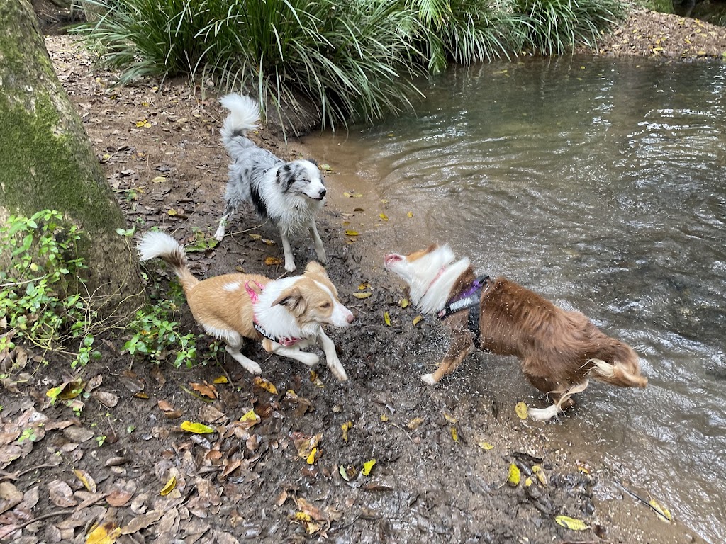 Quinn Dog Training | Flinders St, Redbank Plains QLD 4301, Australia | Phone: 0477 504 926