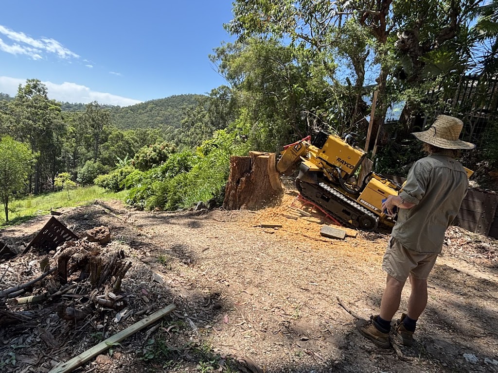 SR Stump Grinding | 46 Climax Ct, Witheren QLD 4275, Australia | Phone: 0492 070 597