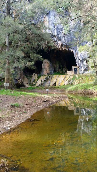 Abercrombie Caves | park | Caves Road, Abercrombie River NSW 2795, Australia | 0263688603 OR +61 2 6368 8603