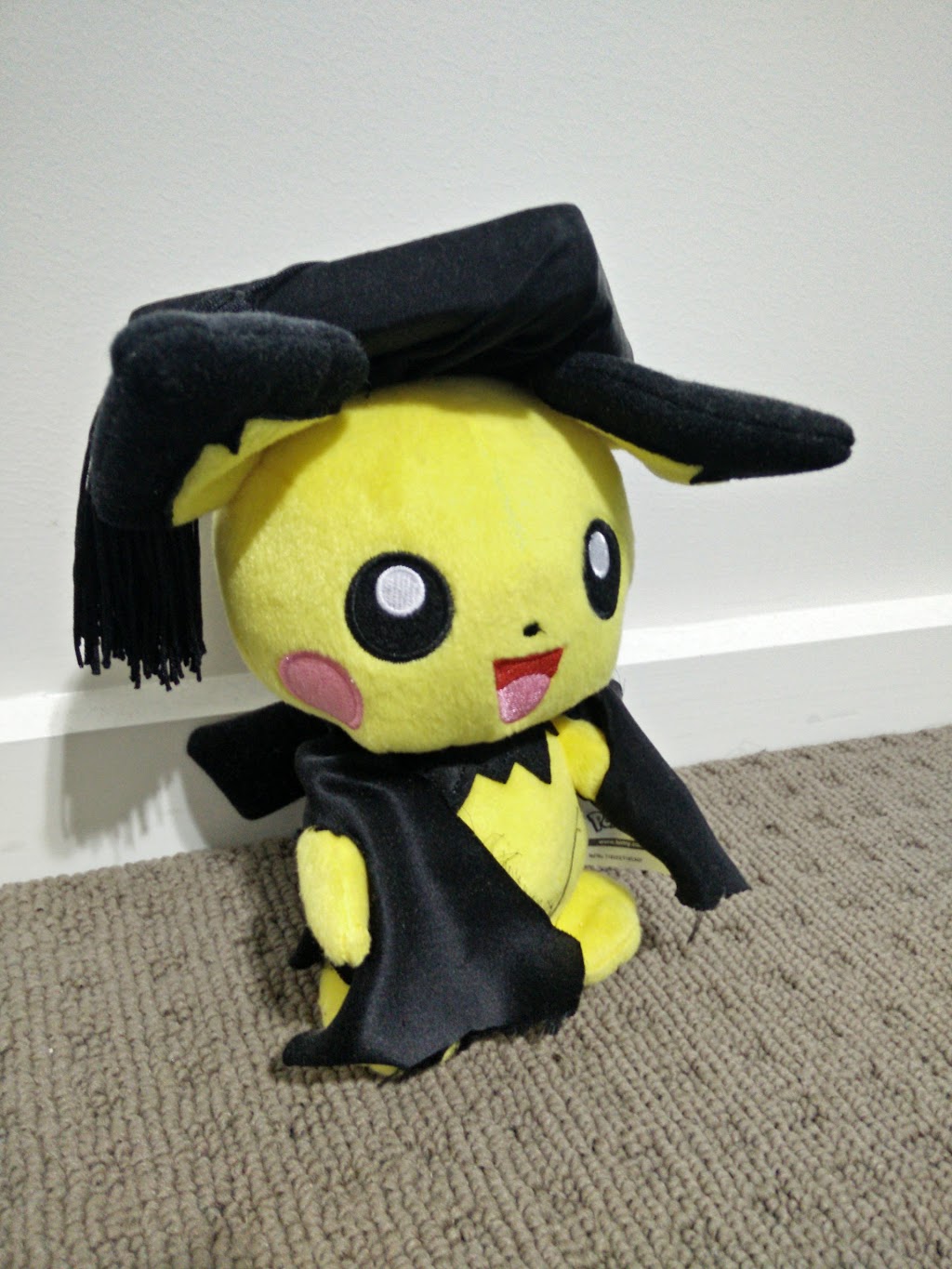 Graduation Pichu Plushie Mural | museum | 7 Caitlin Darcy Pkwy, Port Macquarie NSW 2444, Australia