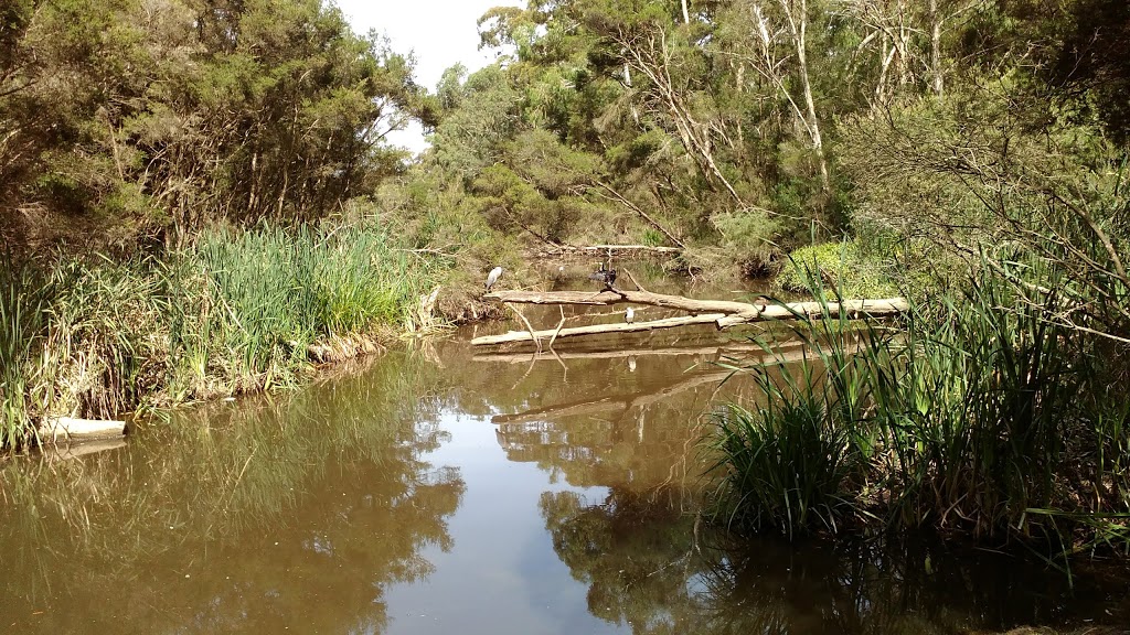 Blackburn Lake Sanctuary | park | Blackburn VIC 3130, Australia | 0398984802 OR +61 3 9898 4802