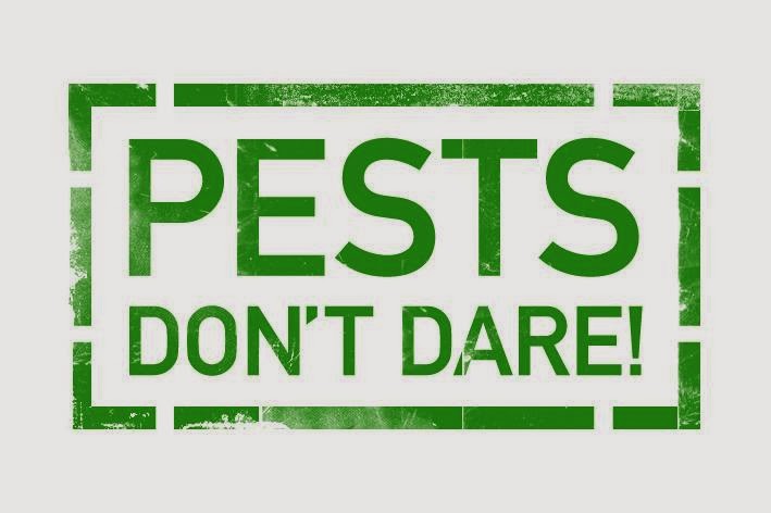 ODare Pest Control | home goods store | 10/42 Burnside Rd, Ormeau QLD 4208, Australia | 1300063273 OR +61 1300 063 273
