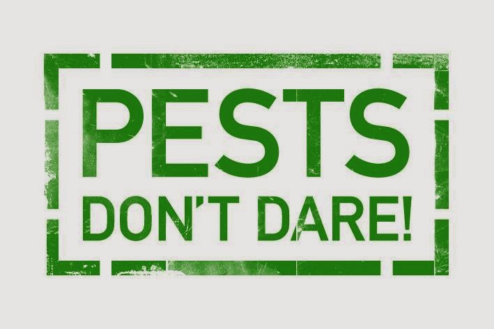 ODare Pest Control | 10/42 Burnside Rd, Ormeau QLD 4208, Australia | Phone: 1300 063 273