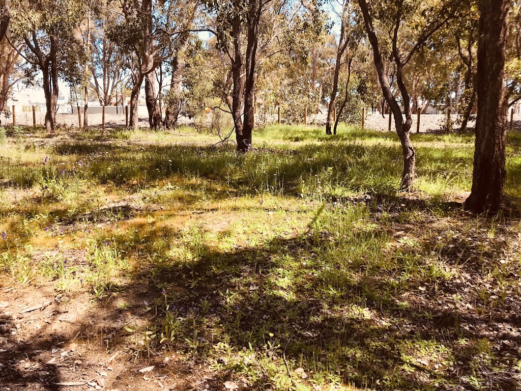 Kadina Trail (bush walking track) | park | 20 Brookhill Grove, Bushmead WA 6055, Australia