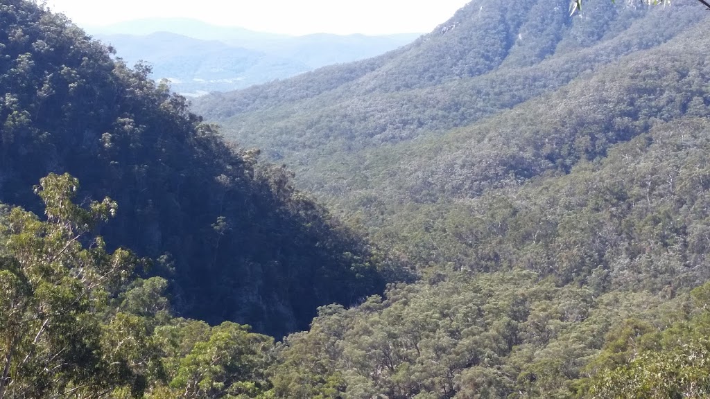 Myanba Gorge lookout | Myanba Gorge Walking Track, Coolangubra NSW 2550, Australia | Phone: (02) 6458 5900