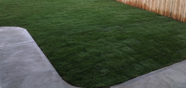 Tasmanian Turf and Lawn | general contractor | 15 Frederick St, Somerset TAS 7322, Australia | 0364318440 OR +61 3 6431 8440