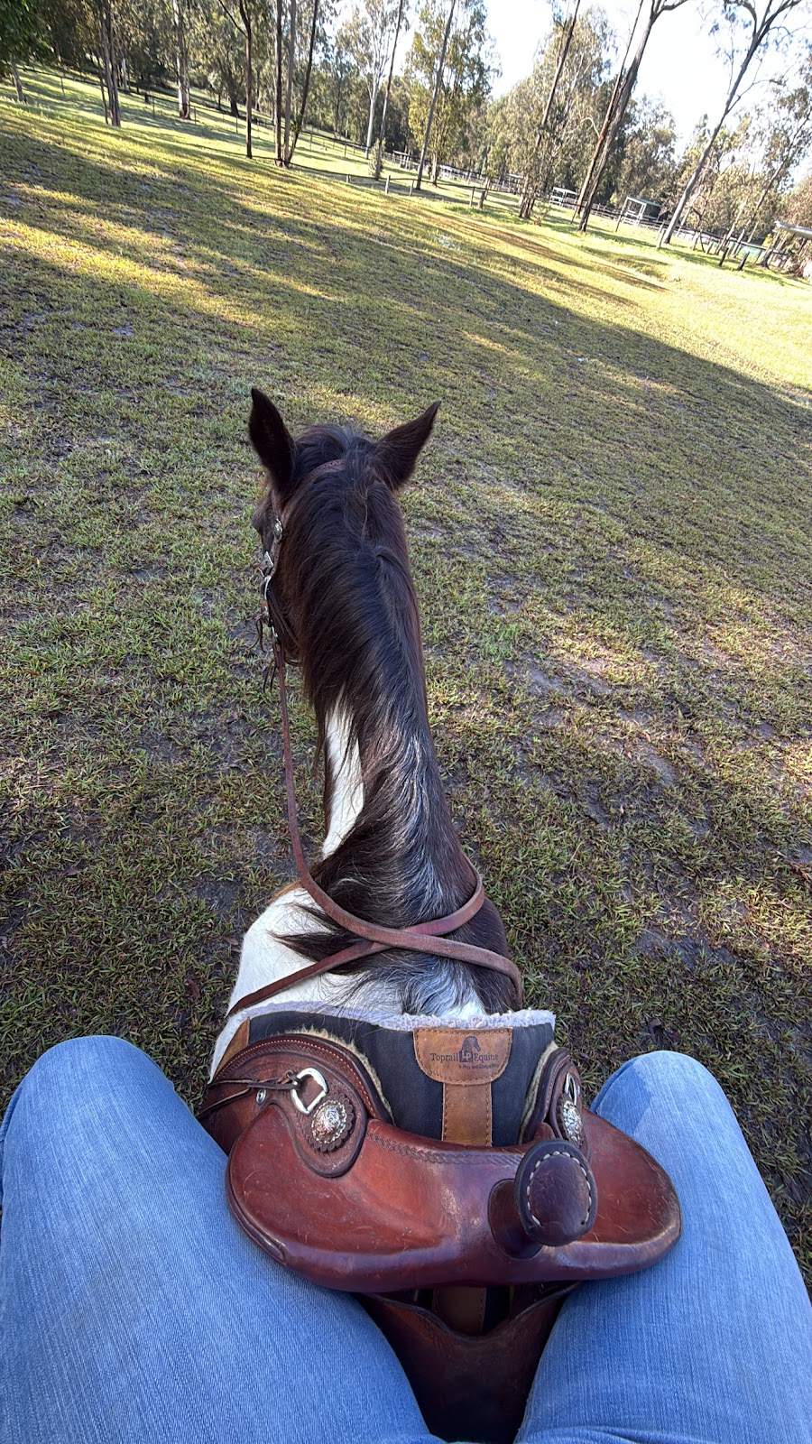 Dezigna Lodge Horsemanship | 1 Nonmus Rd, Stanmore QLD 4514, Australia | Phone: 0429 337 716