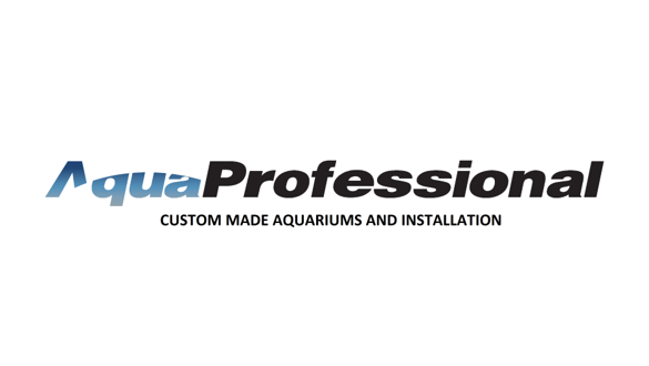 Aqua Professional - Aquarium manufacturer in Springvale | pet store | 1/12 Regal Dr, Springvale VIC 3171, Australia | 0428480902 OR +61 428 480 902