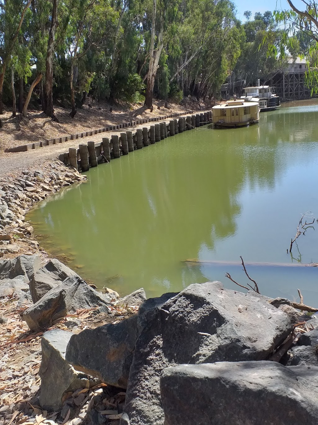 Campaspe River Reserve | Rochester VIC 3561, Australia