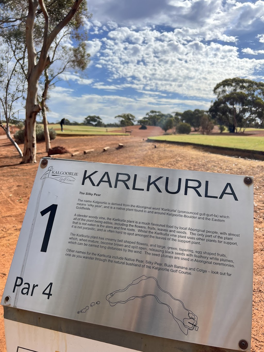 Kalgoorlie Golf Course | 93 Aslett Dr, Karlkurla WA 6430, Australia | Phone: (08) 9026 2601