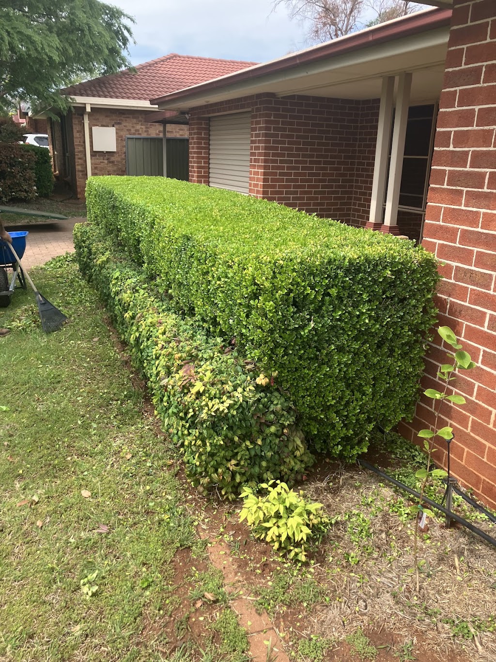 Jim’s Mowing - Minore | 11 Waldorf Pl, Dubbo NSW 2830, Australia | Phone: 0459 561 035