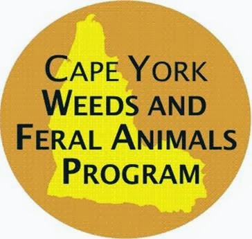 Cape York Weeds and Feral Animals Program | 31 Charlotte St, Cooktown QLD 4895, Australia | Phone: (07) 4069 5020