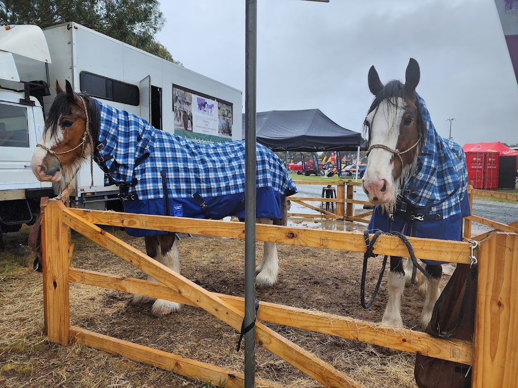 Newmarket Saddlery | 30 Main St, Cudal NSW 2864, Australia | Phone: 0414 942 227