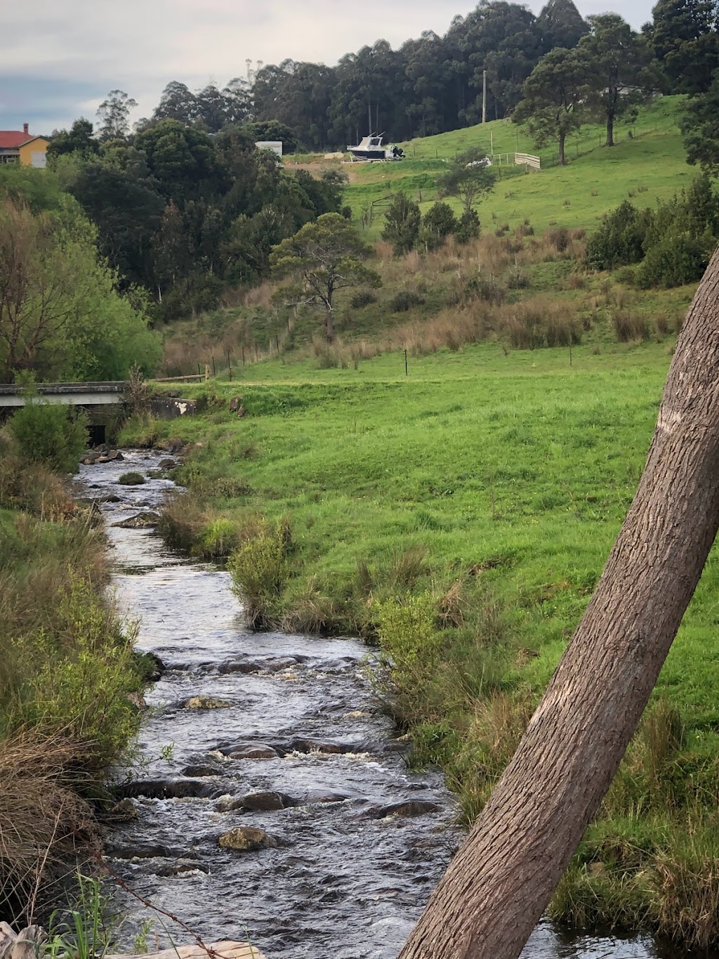 Babbling Brook Farm |  | 125 Donnellys Rd, Geeveston TAS 7116, Australia | 0416295566 OR +61 416 295 566