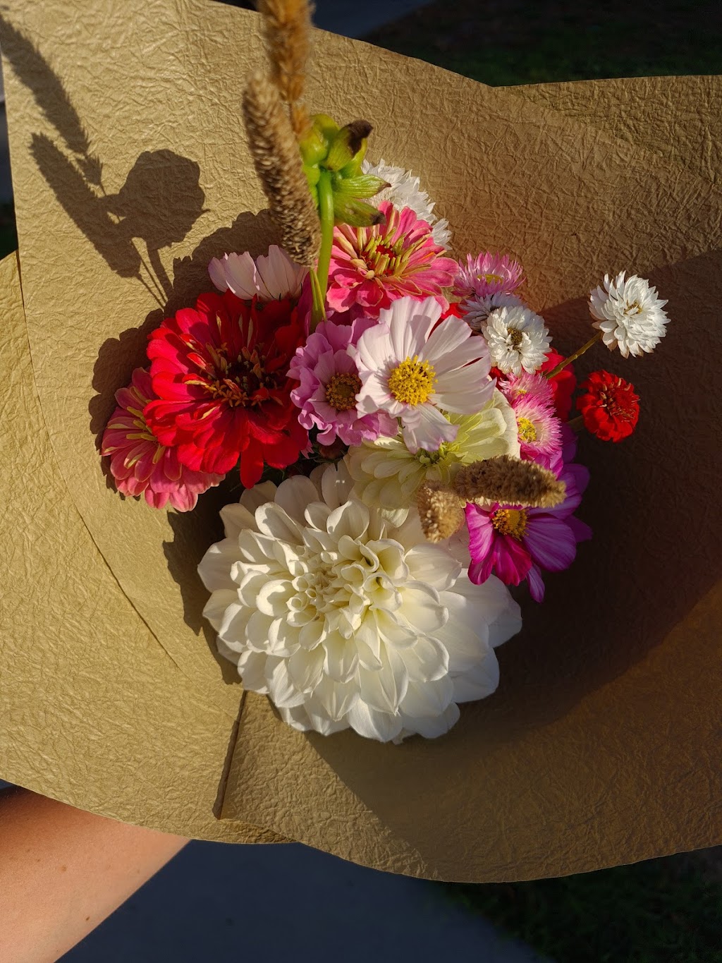Penbank Flowers | Mornington-Tyabb Rd, Moorooduc VIC 3933, Australia | Phone: 0409 000 658
