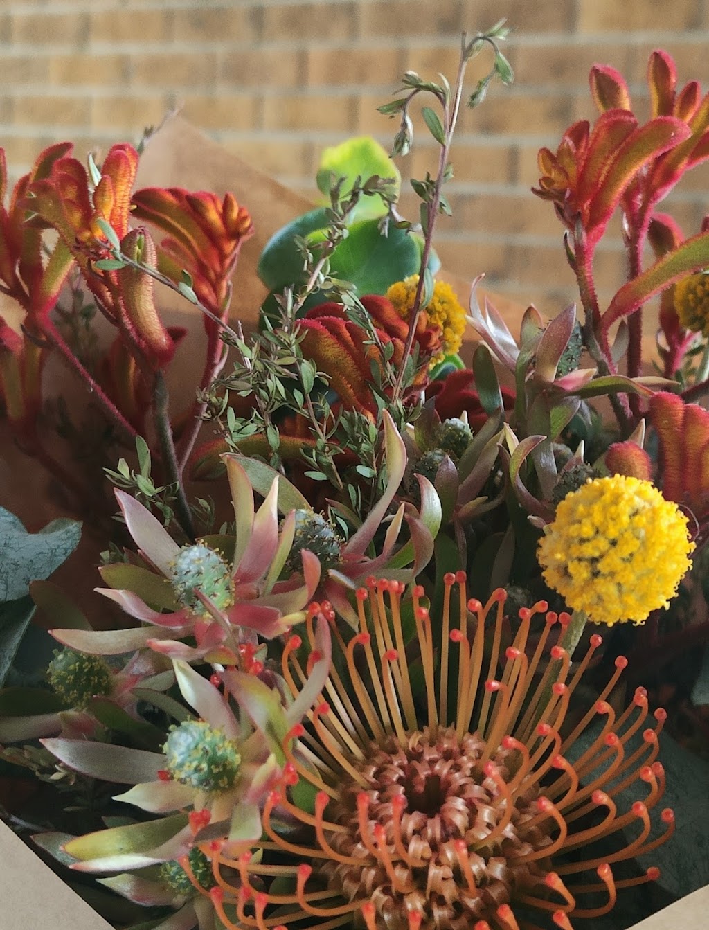 Ela Flora | 12 N Esk Dr, Seaham NSW 2324, Australia | Phone: 0407 243 134