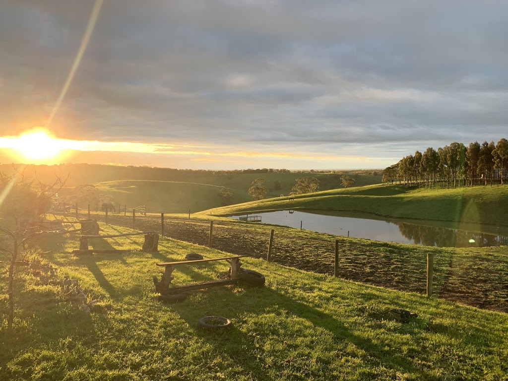 Sterley Horsemanship Solutions | 130 Bambra-Boonah Rd, Bambra VIC 3241, Australia | Phone: 0405 908 621