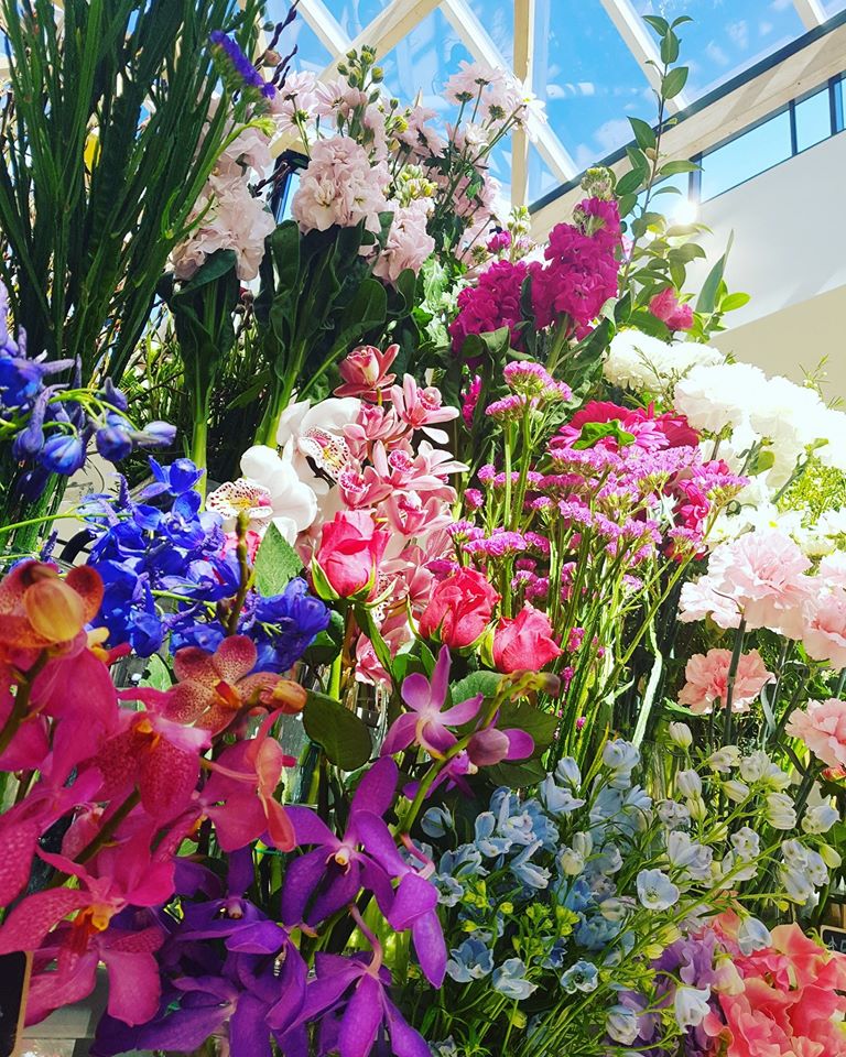 Burnside Village Flowers | florist | K3/447 Portrush Rd, Glenside SA 5065, Australia | 0883794724 OR +61 8 8379 4724